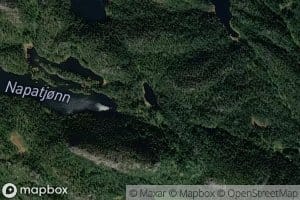 Galtetjonn