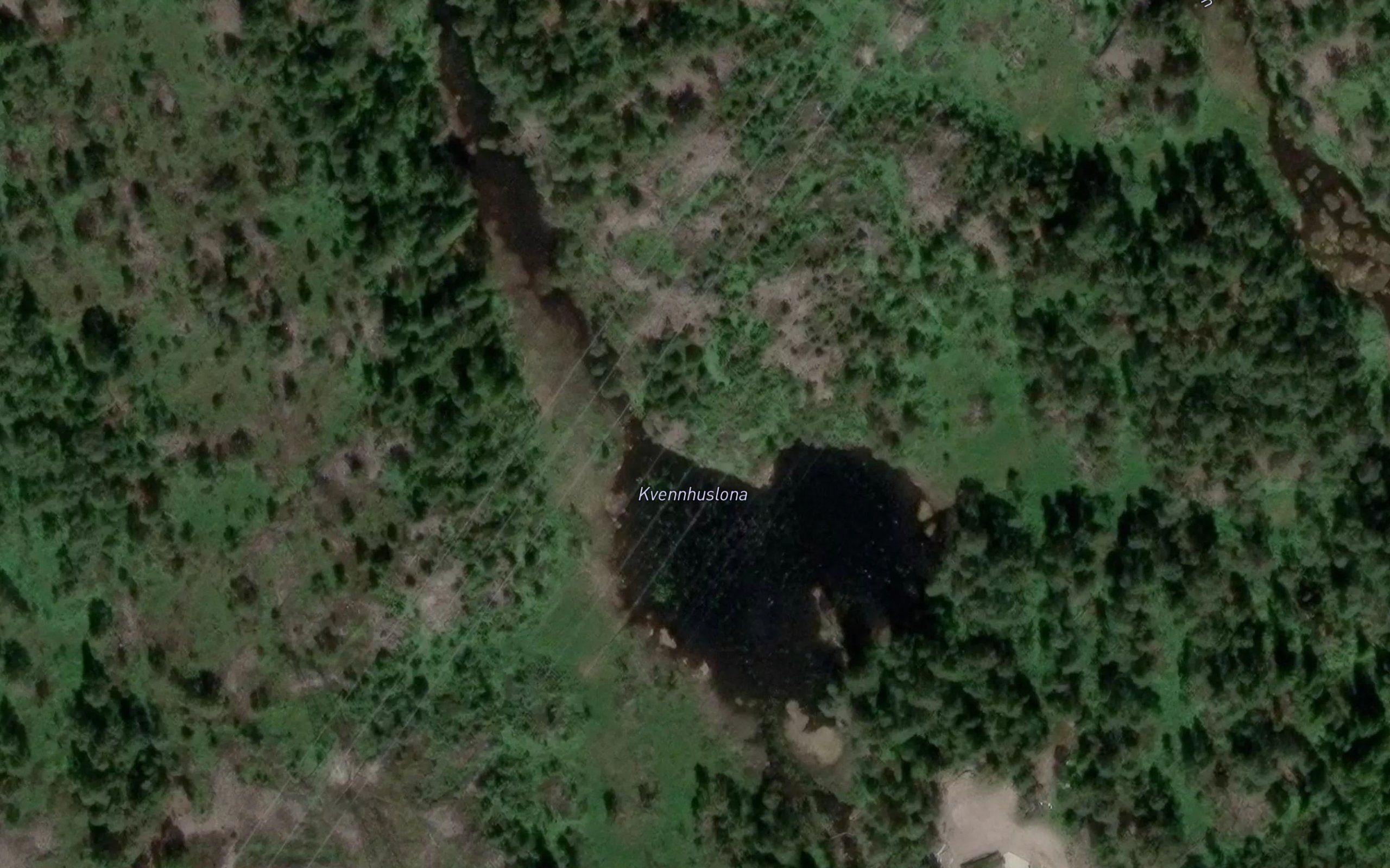 Kvennhuslona