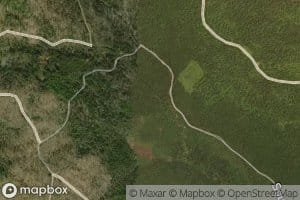 Middle Branch Alder Stream