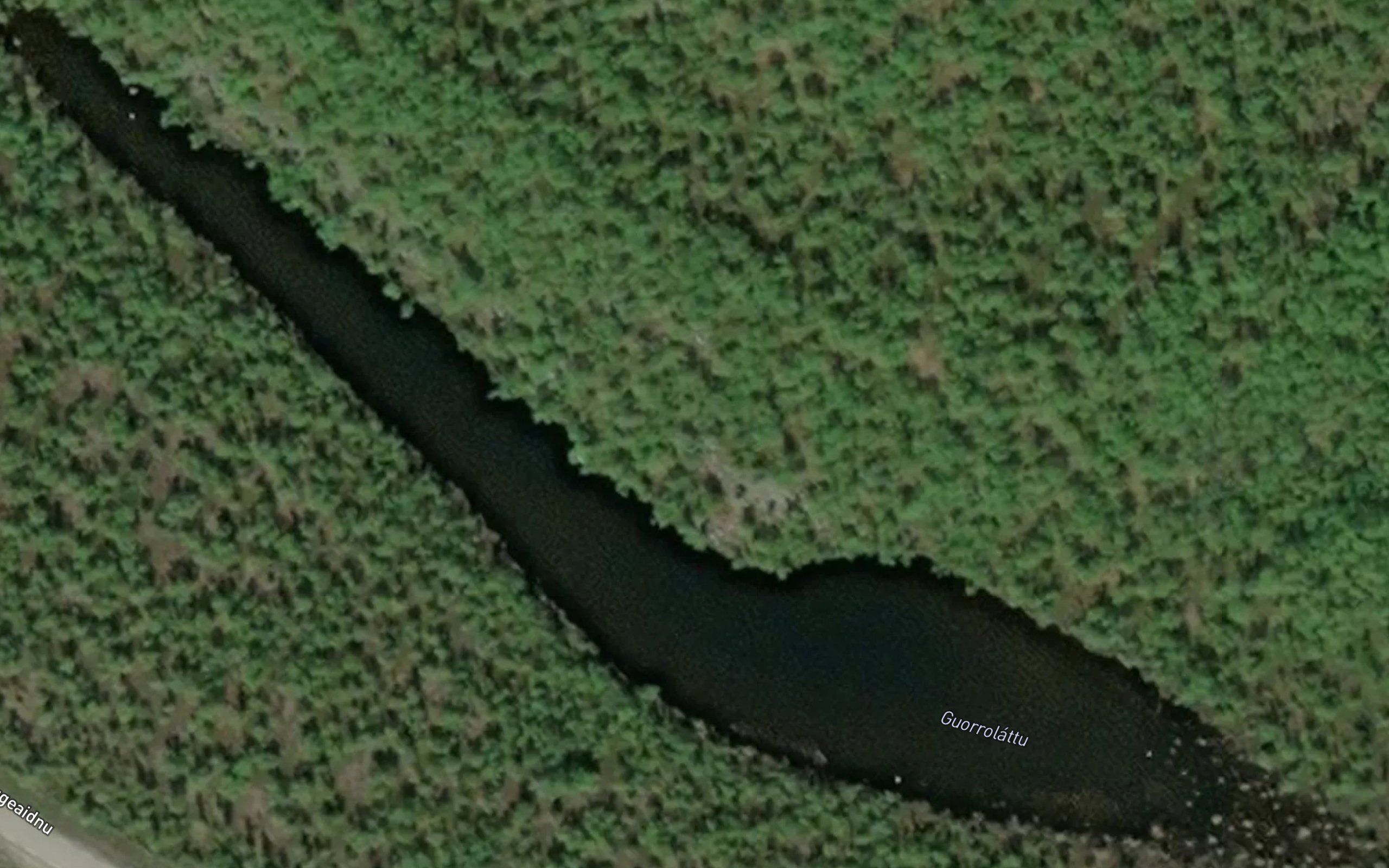 Guorrolattu