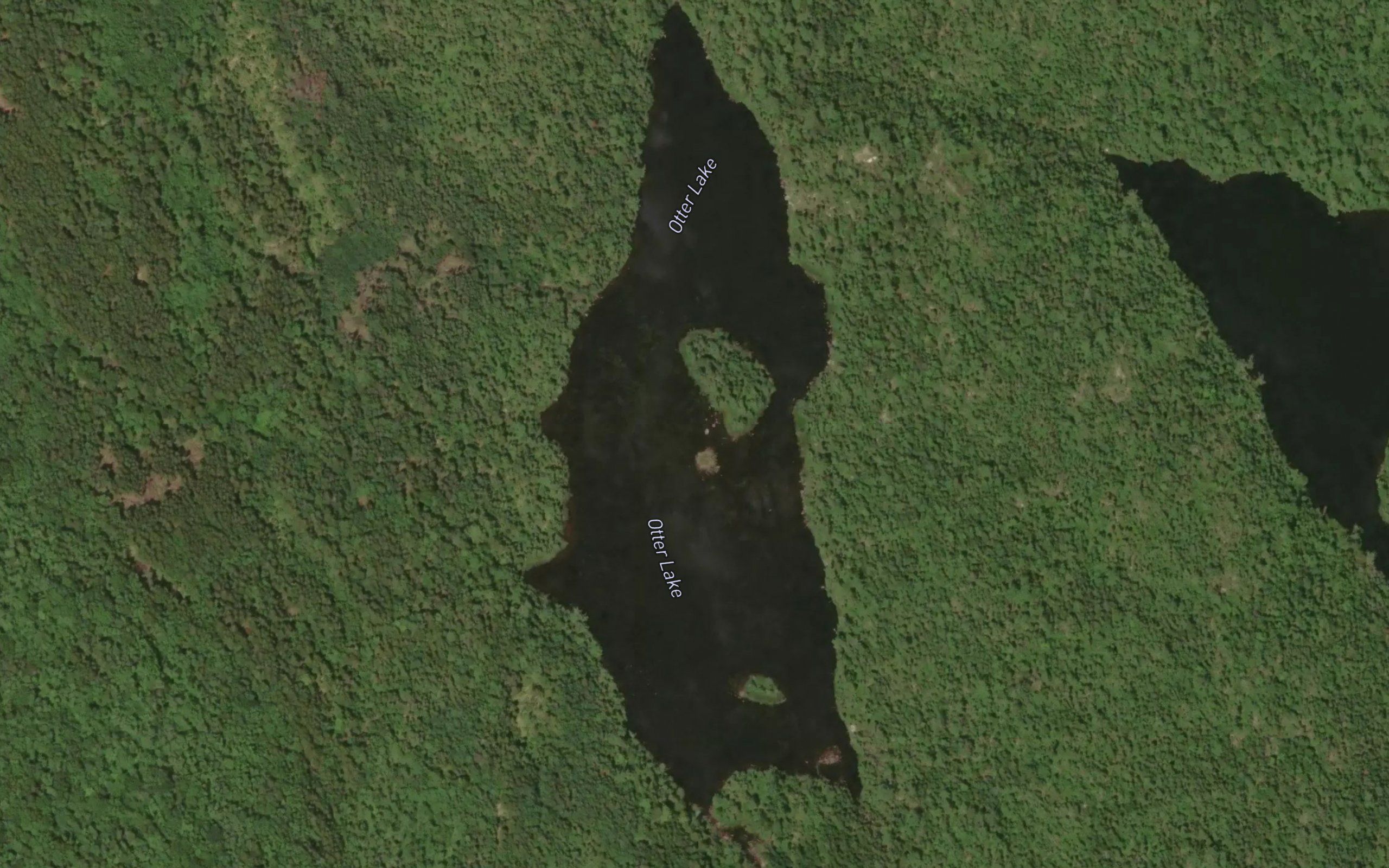 Otter Lake