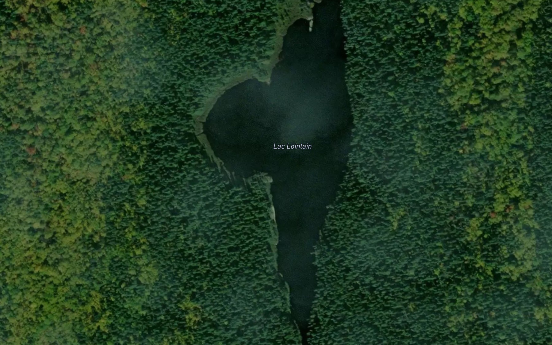 Satellite map of the Lac Lointain