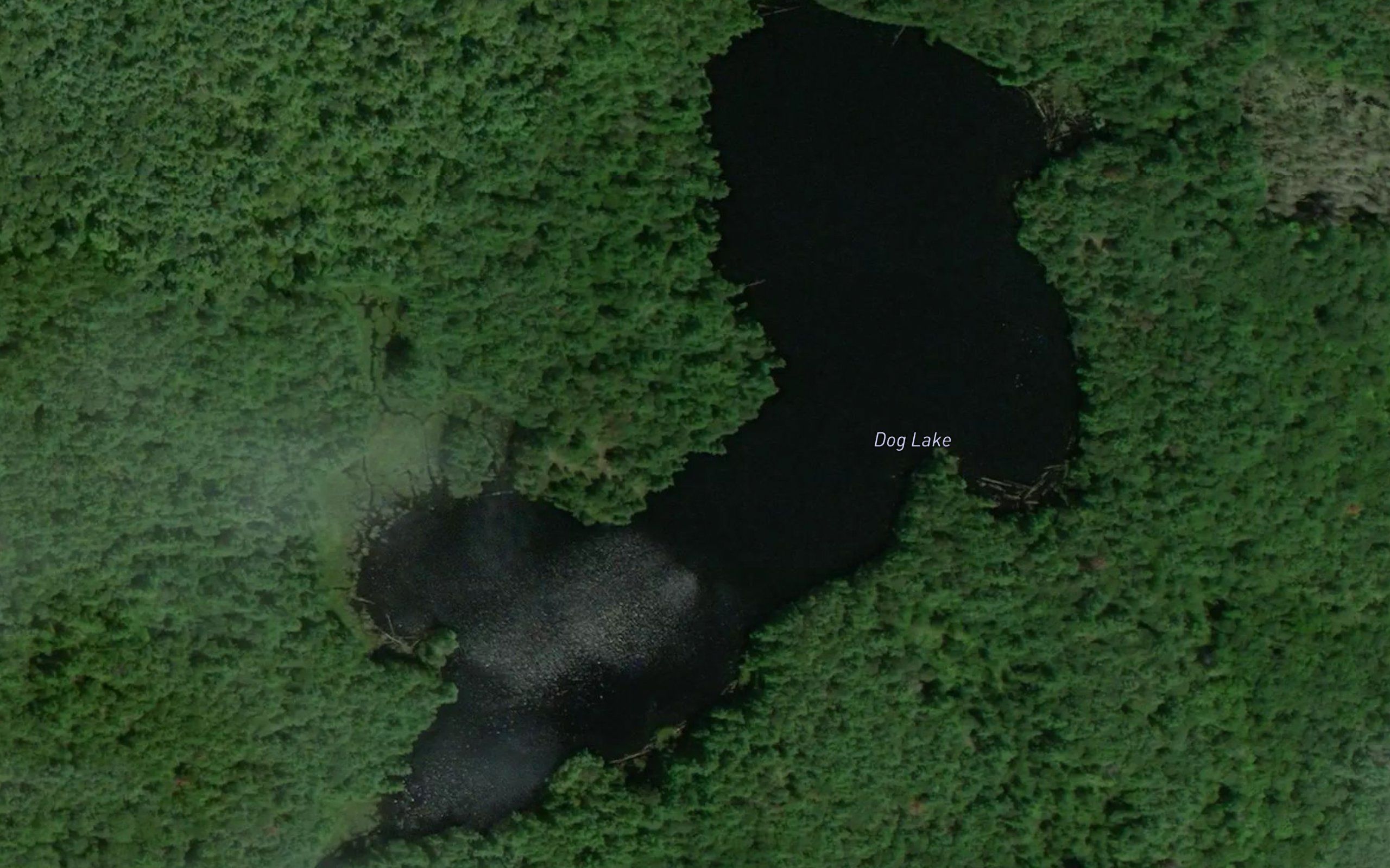 Dog Lake