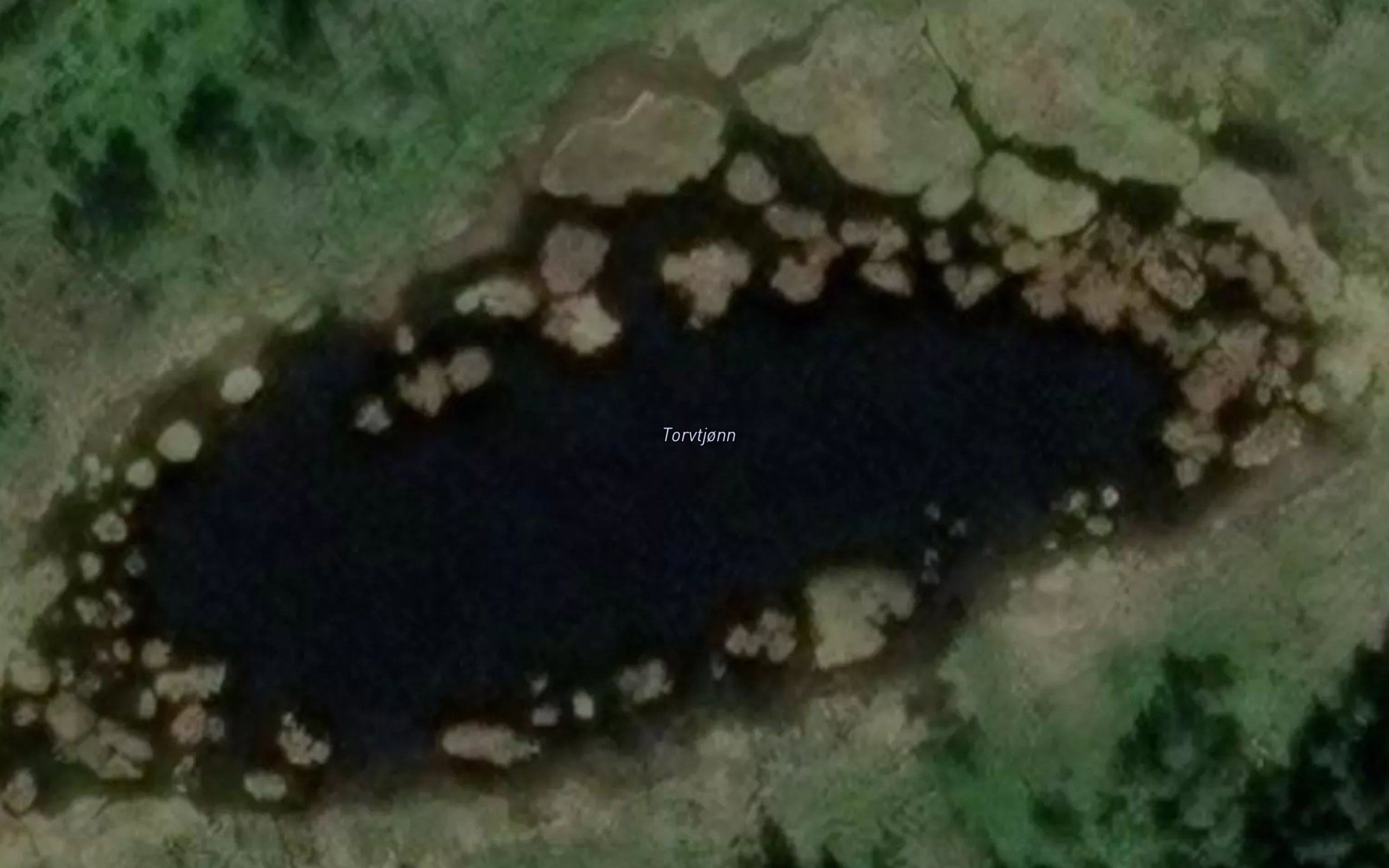 Torvtjonn