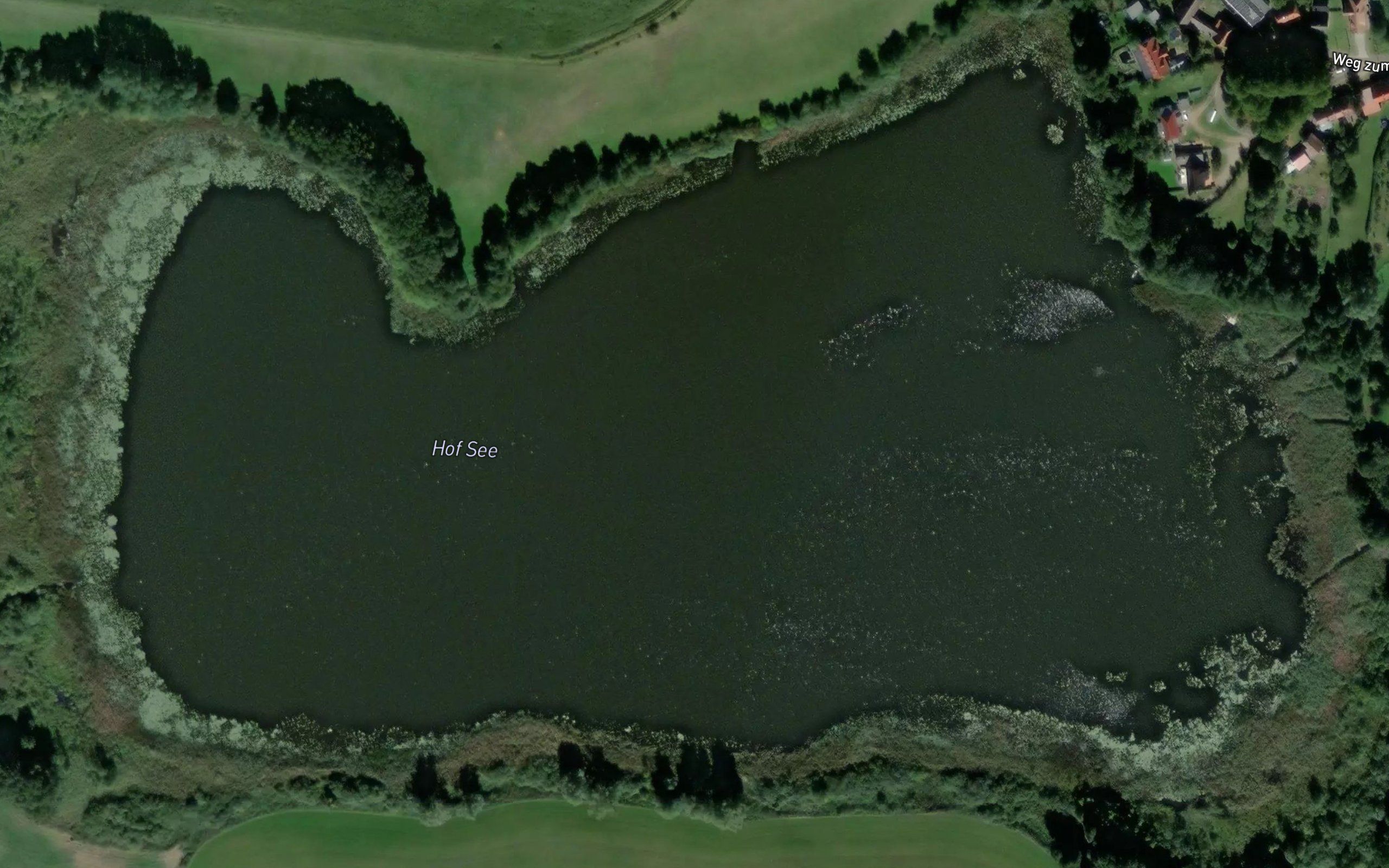 Hofsee