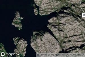 Naustvika