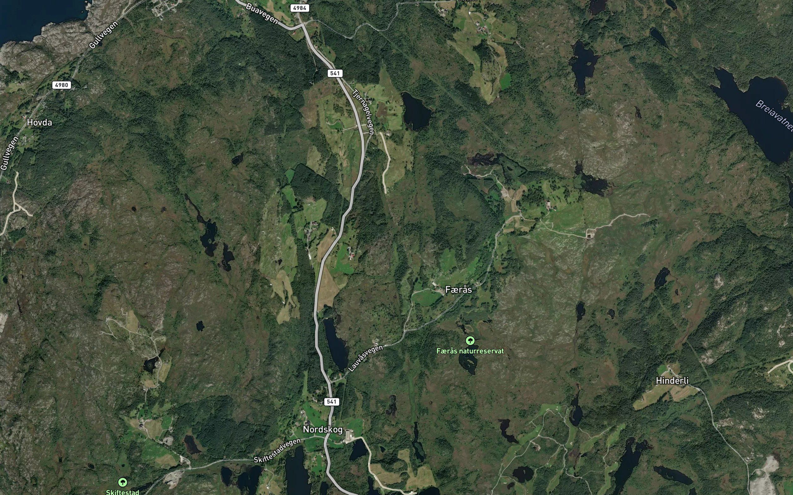 Slemmetjorna