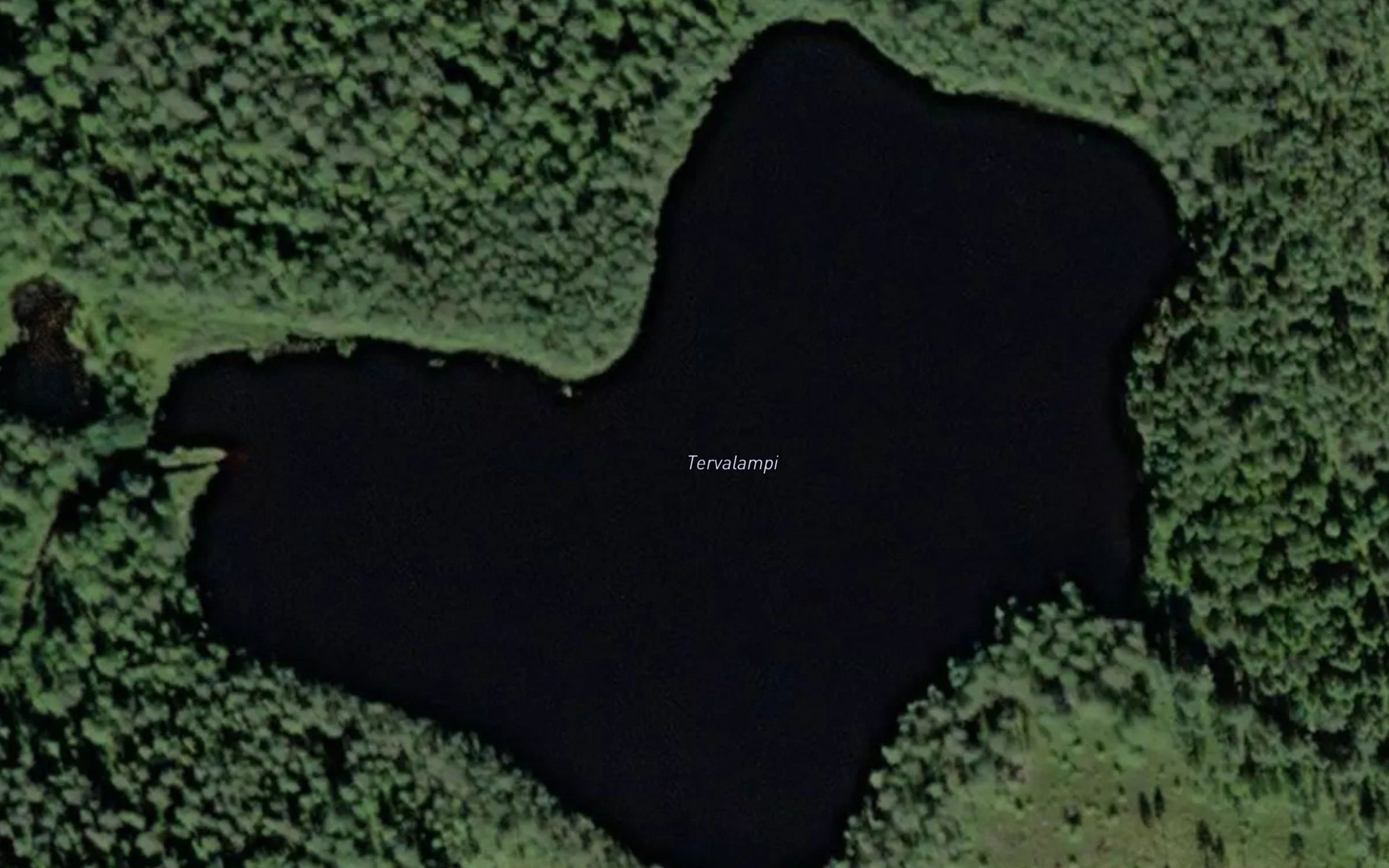 Tervalampi
