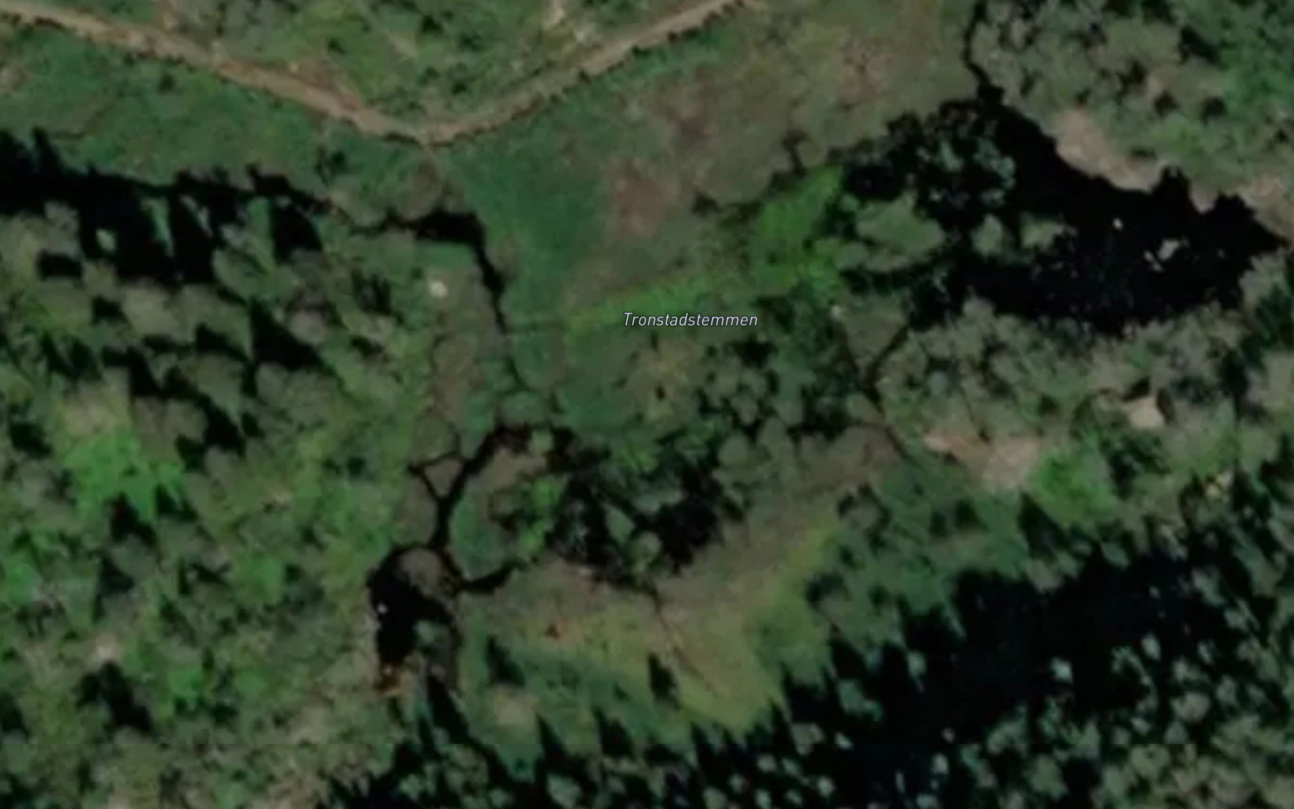 Tronstadstemmen