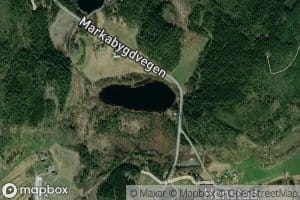 Tufttjorna