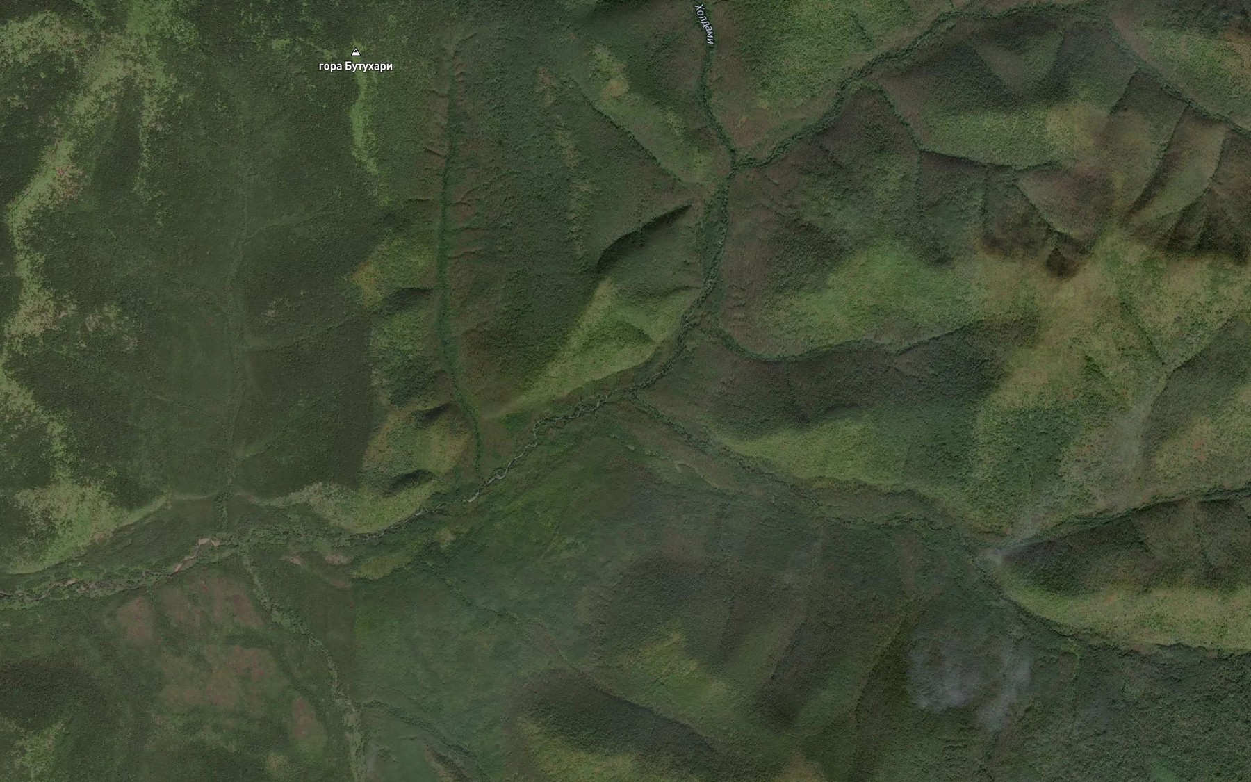 Satellite map of the Guta