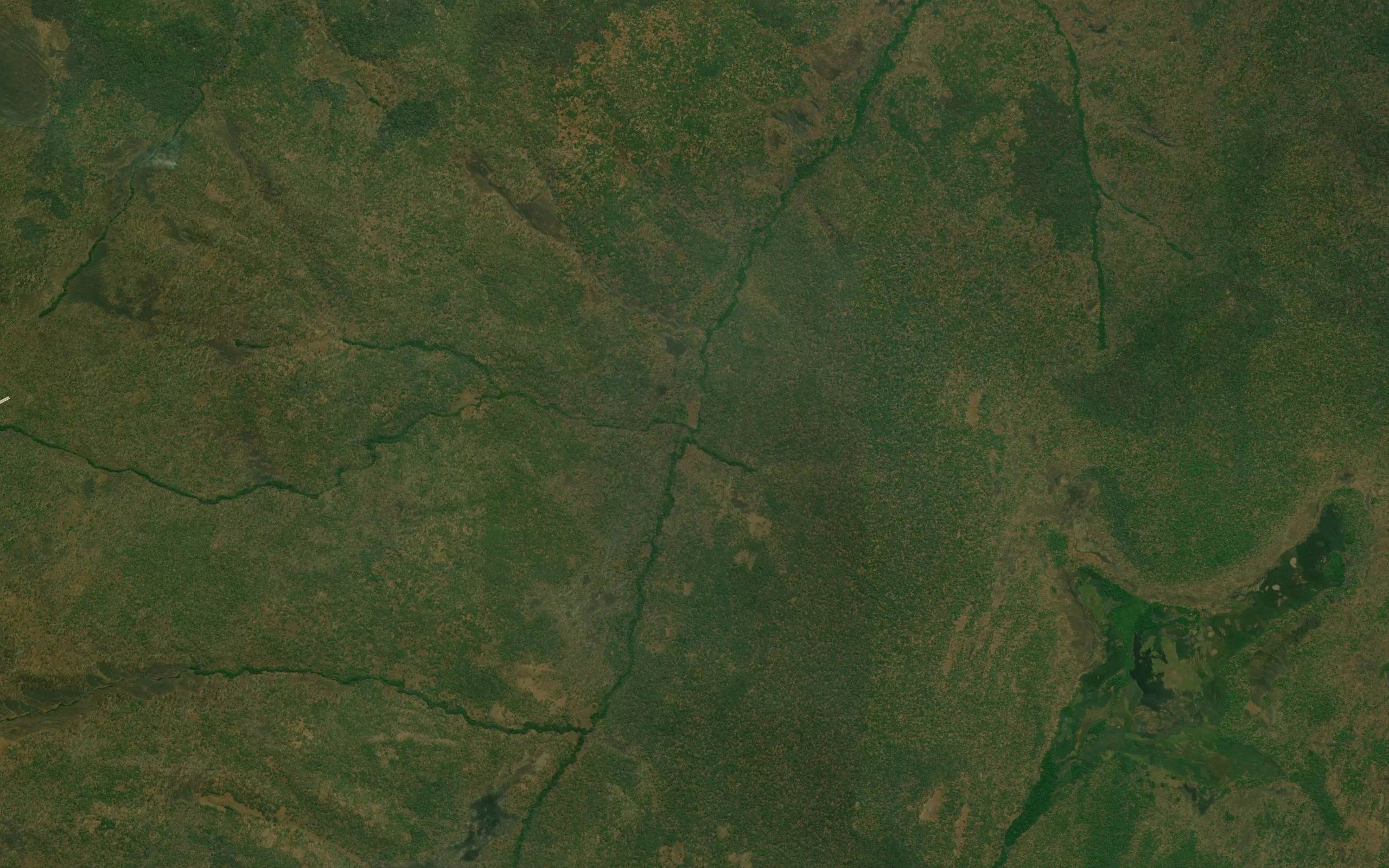 Camutchimbua