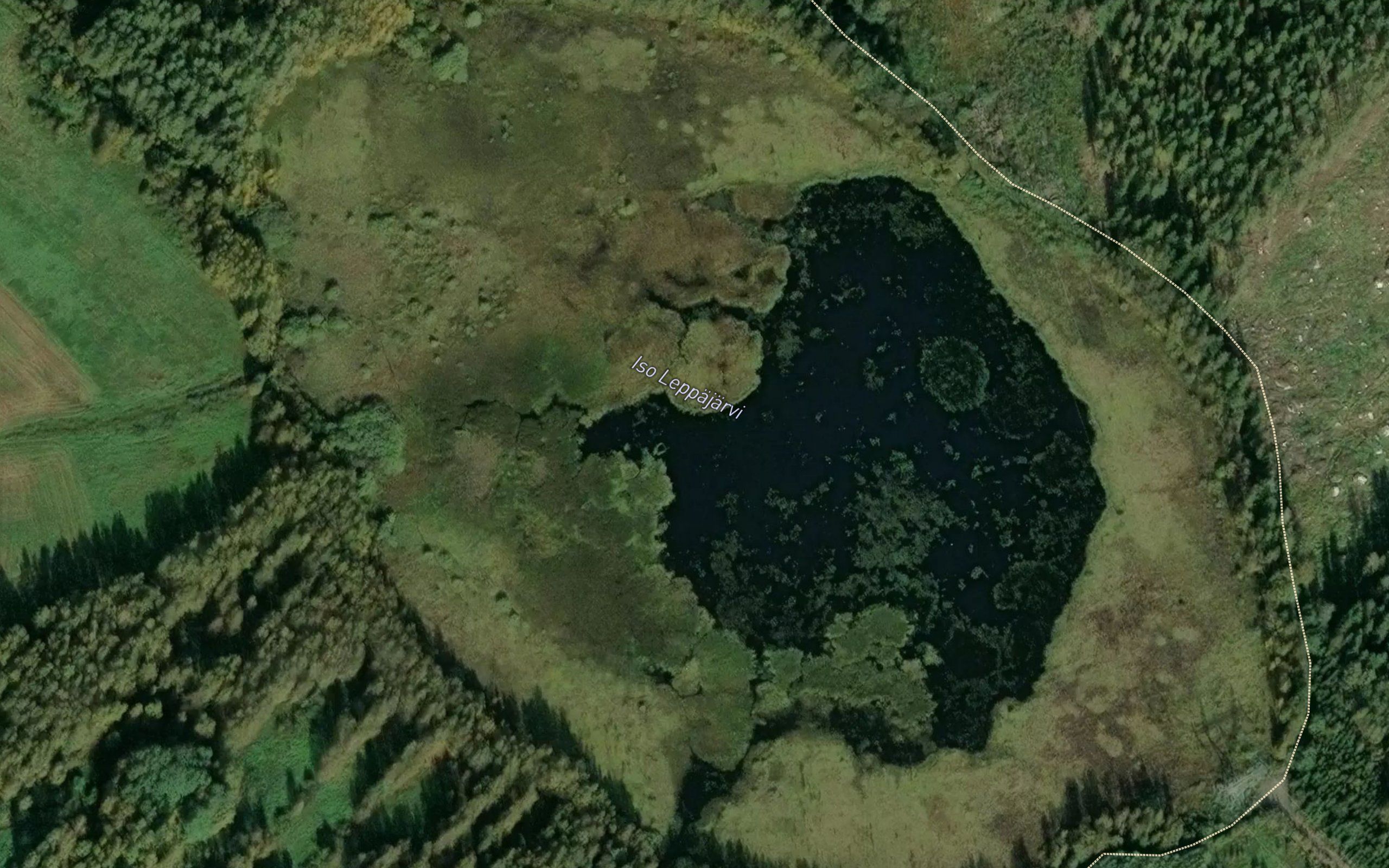Iso Leppajarvi