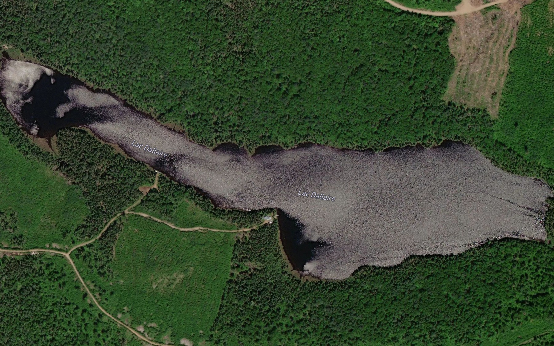 Satellite map of the Lac Dallaire