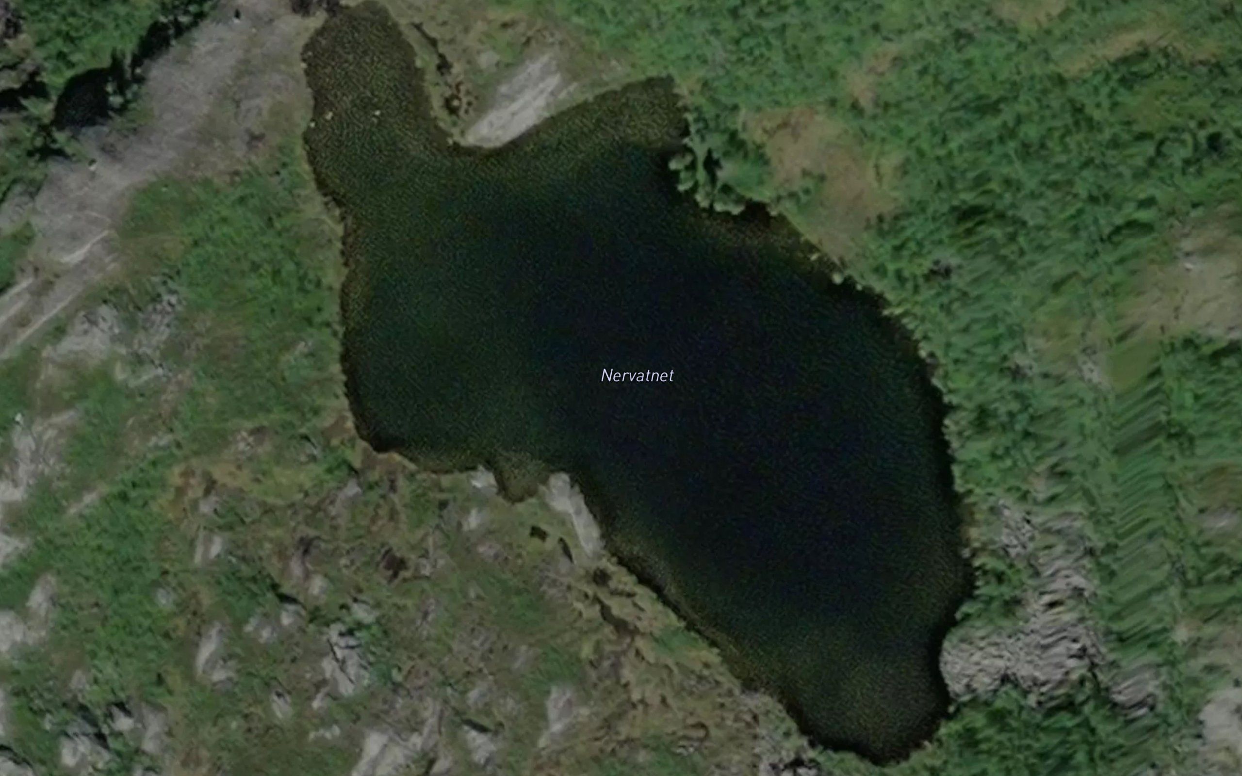 Nervatnet