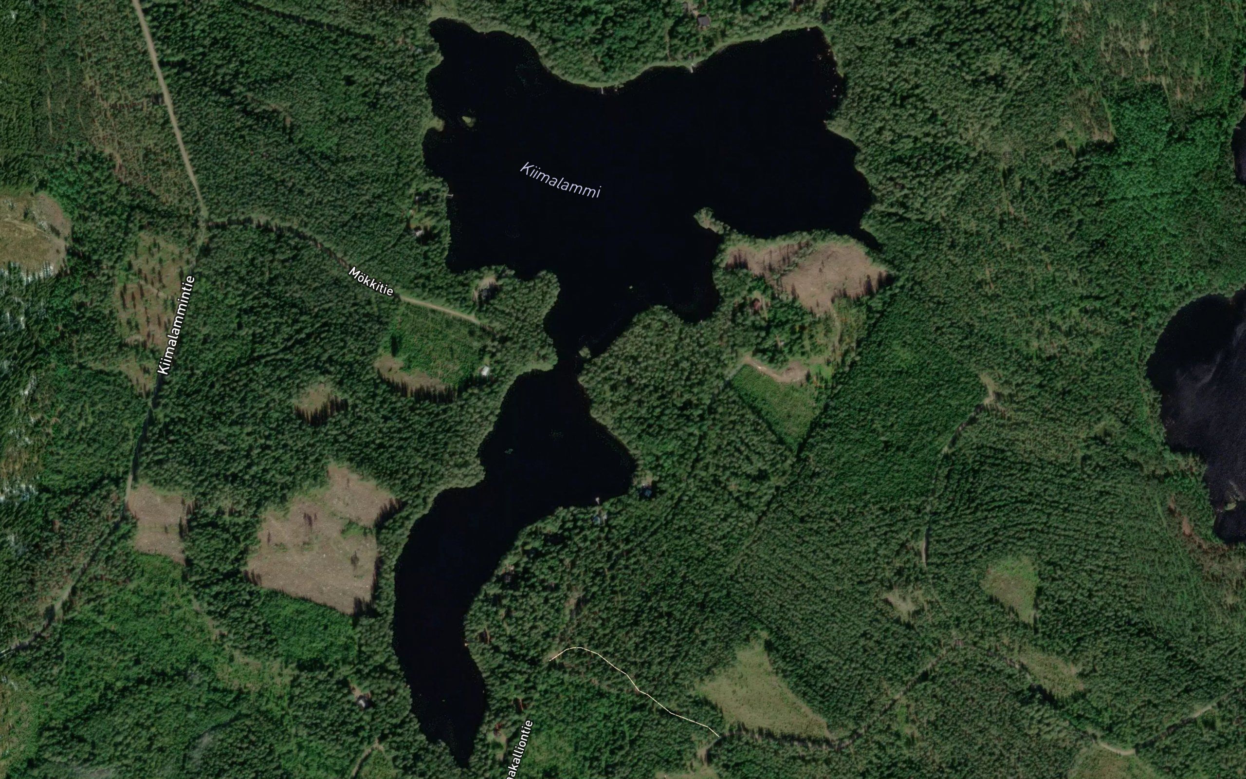 Kiimalammi