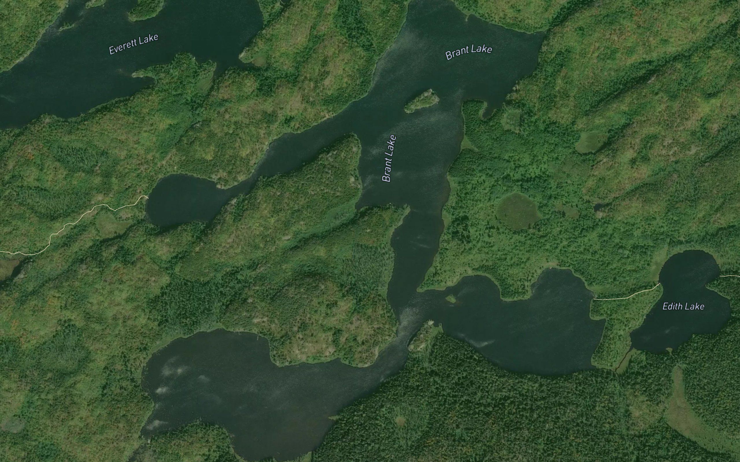 Brant Lake