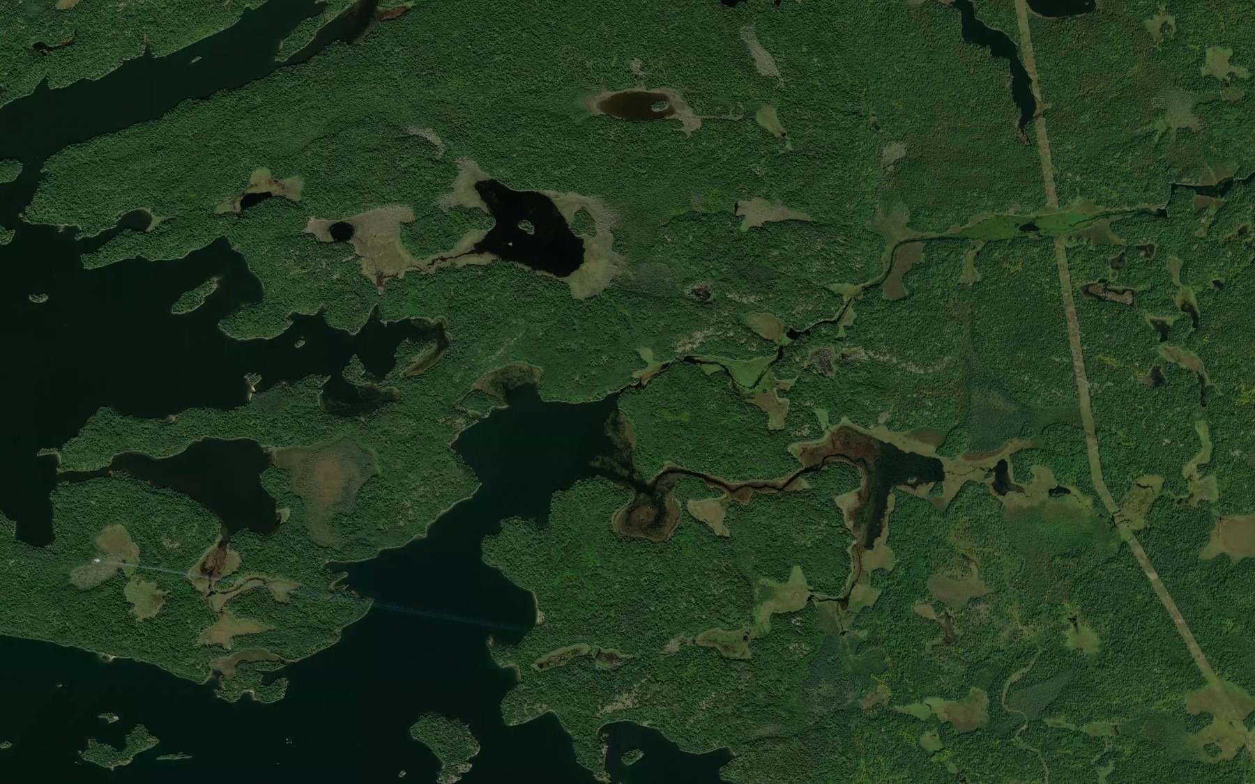 Satellite map of the Black River