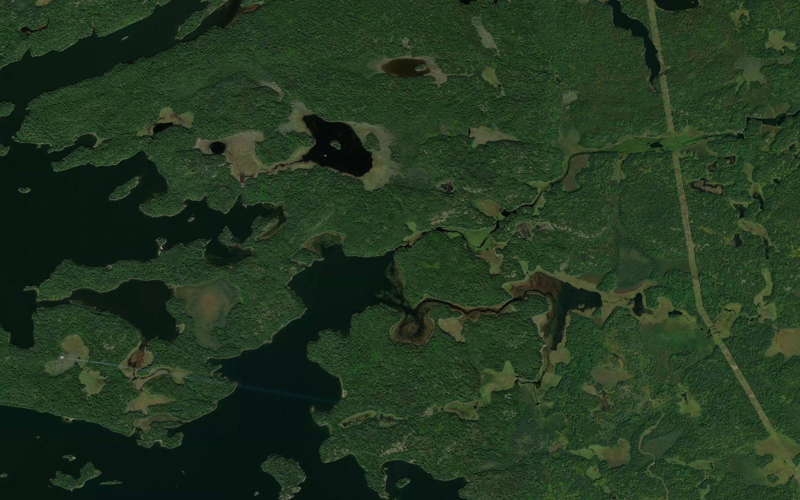 Black River