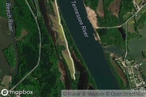 Jims Branch