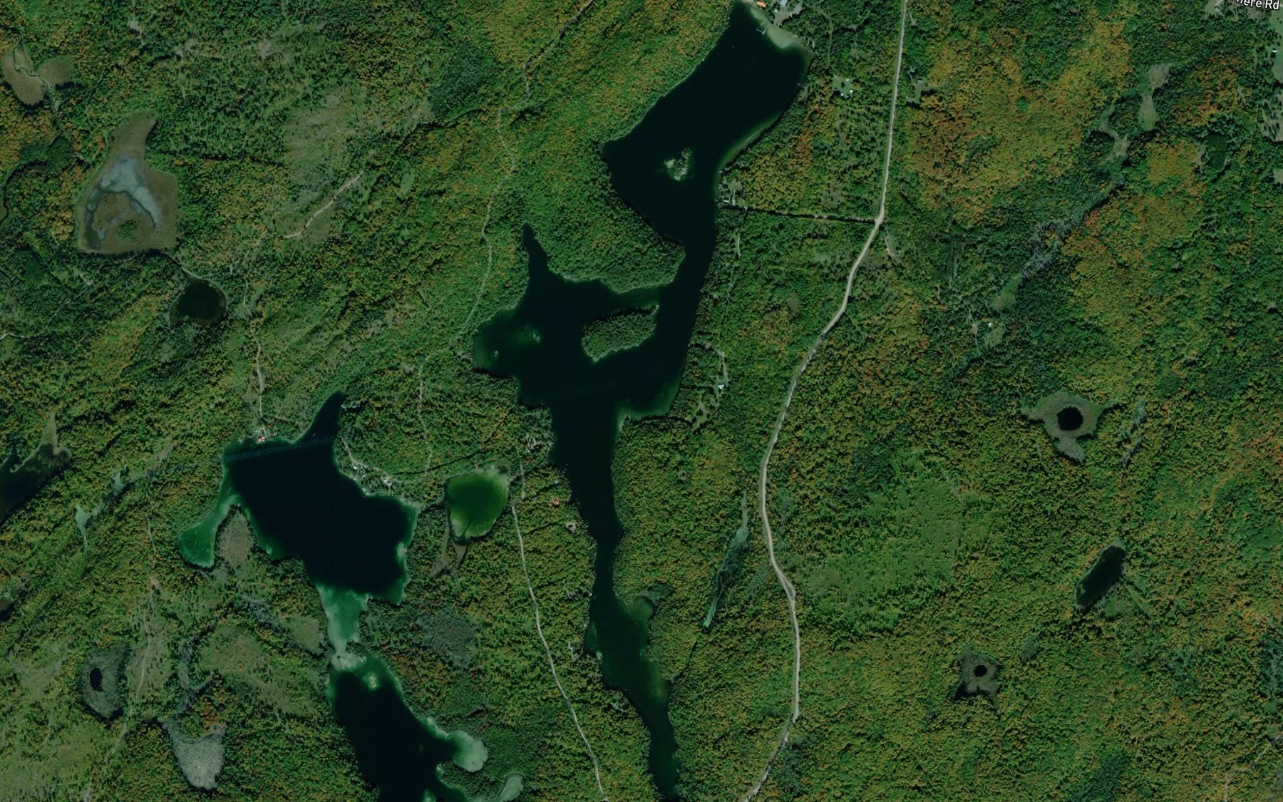 Satellite map of the Wanamaker Lake