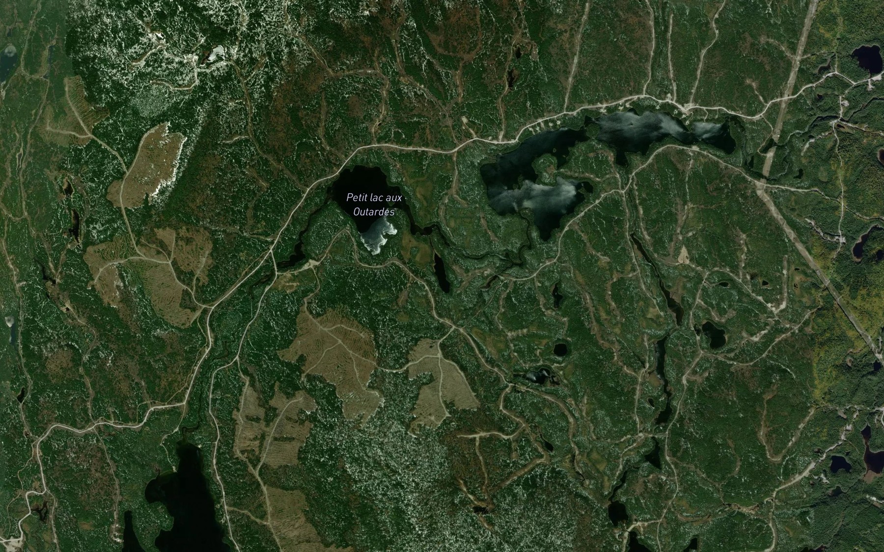 Satellite map of the Lac du Pic