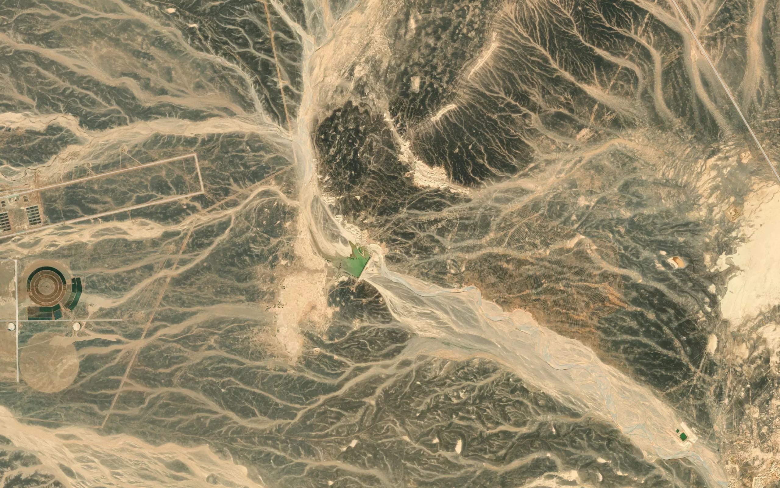 Ghadir Abu Safah