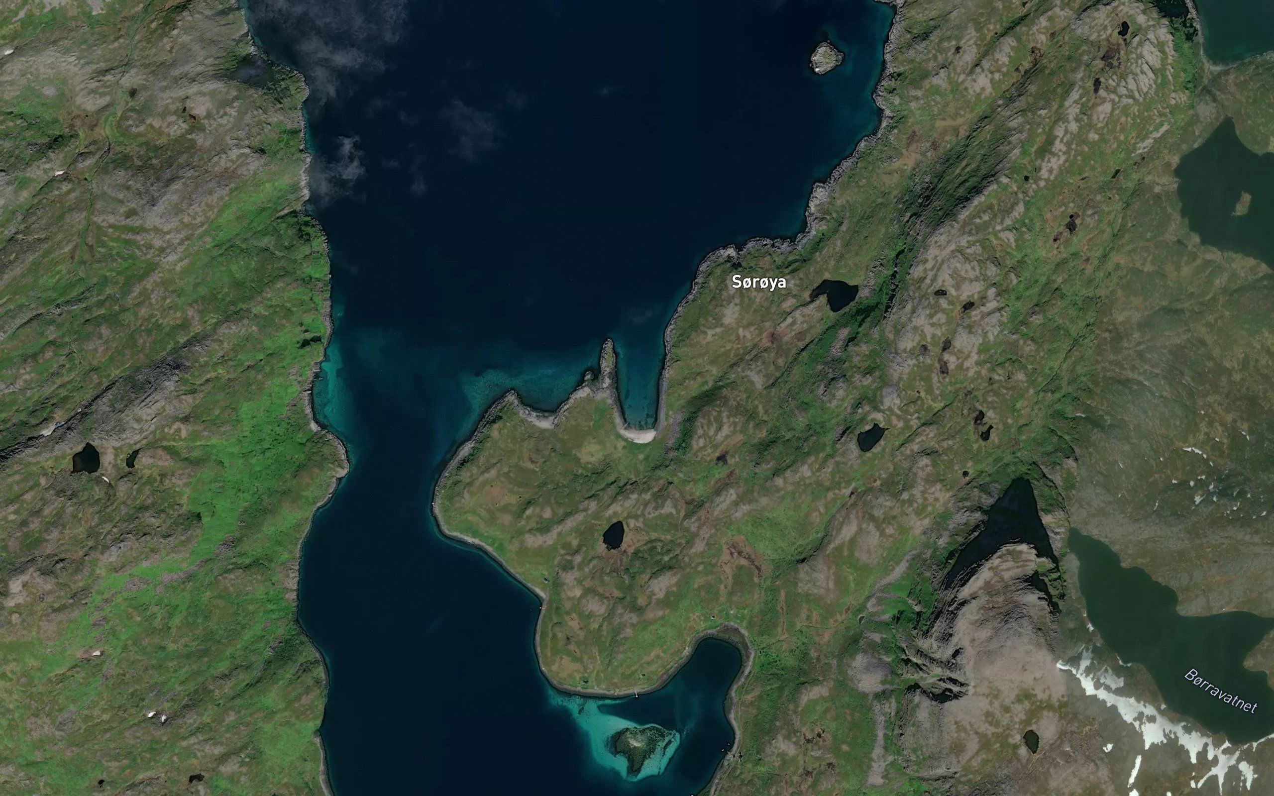 Borrfjordvik