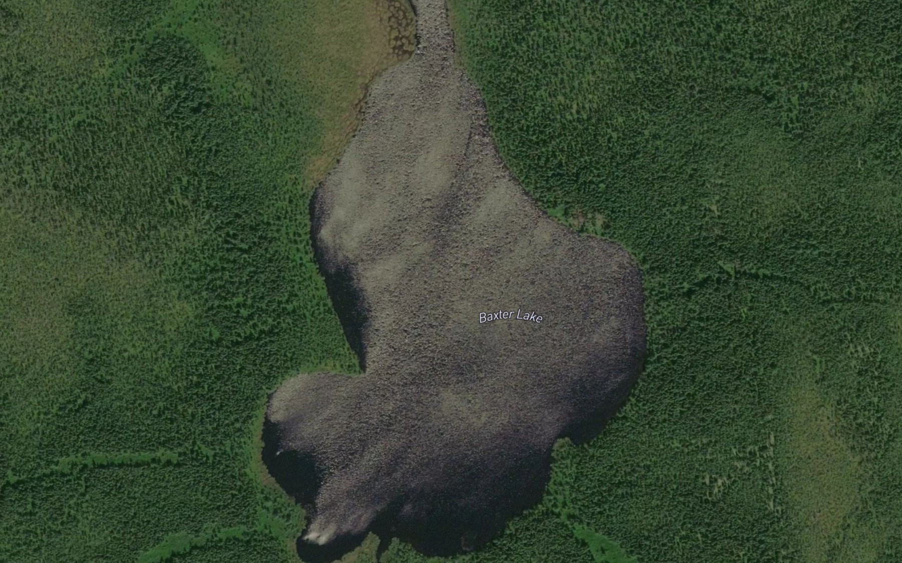 Satellite map of the Baxter Lake