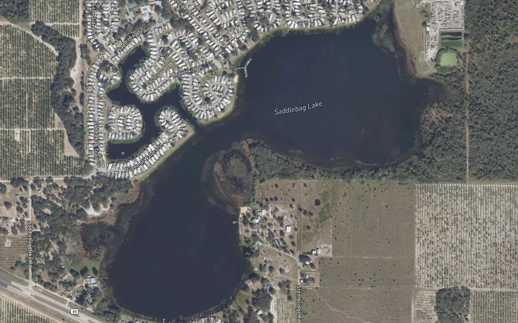 Satellite map of the Saddlebag Lake