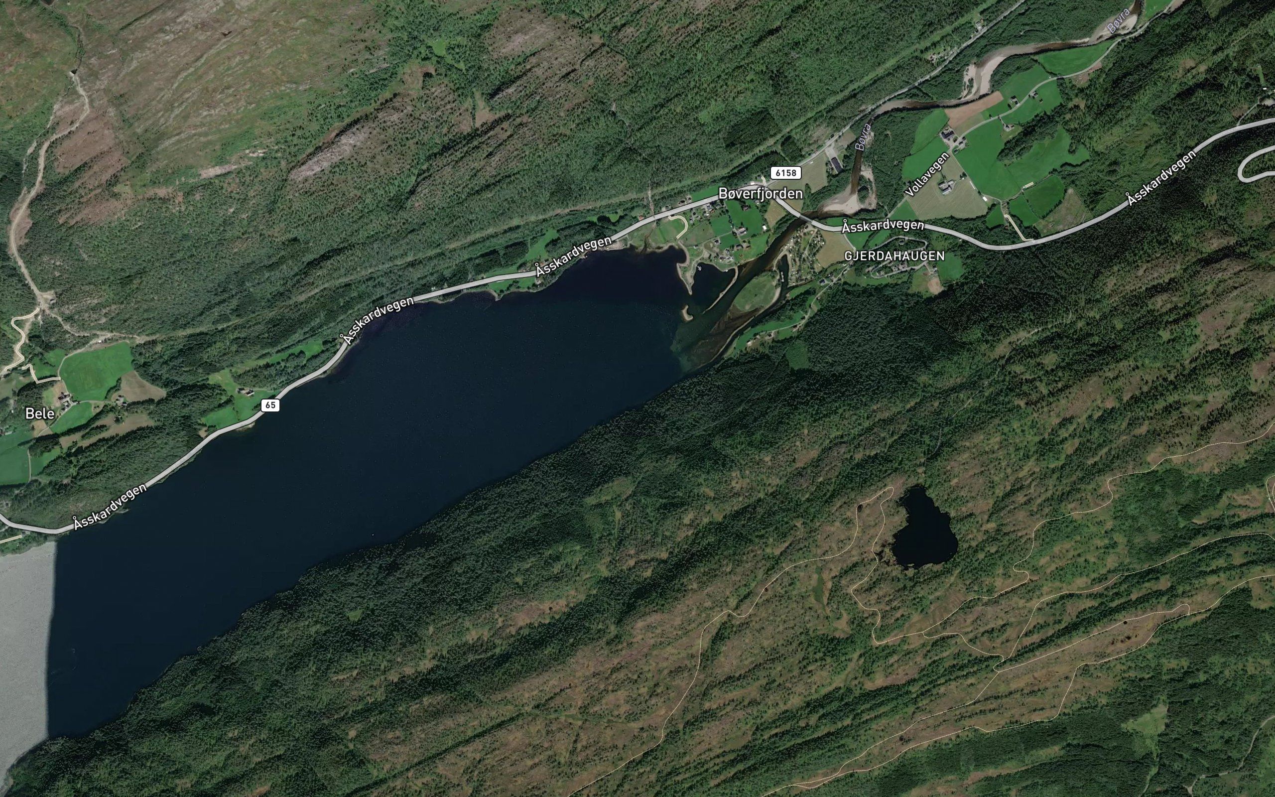 Turtvika