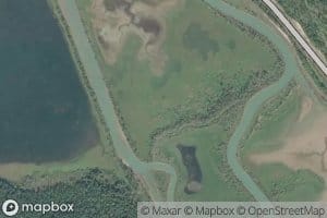 Pagliaro Creek
