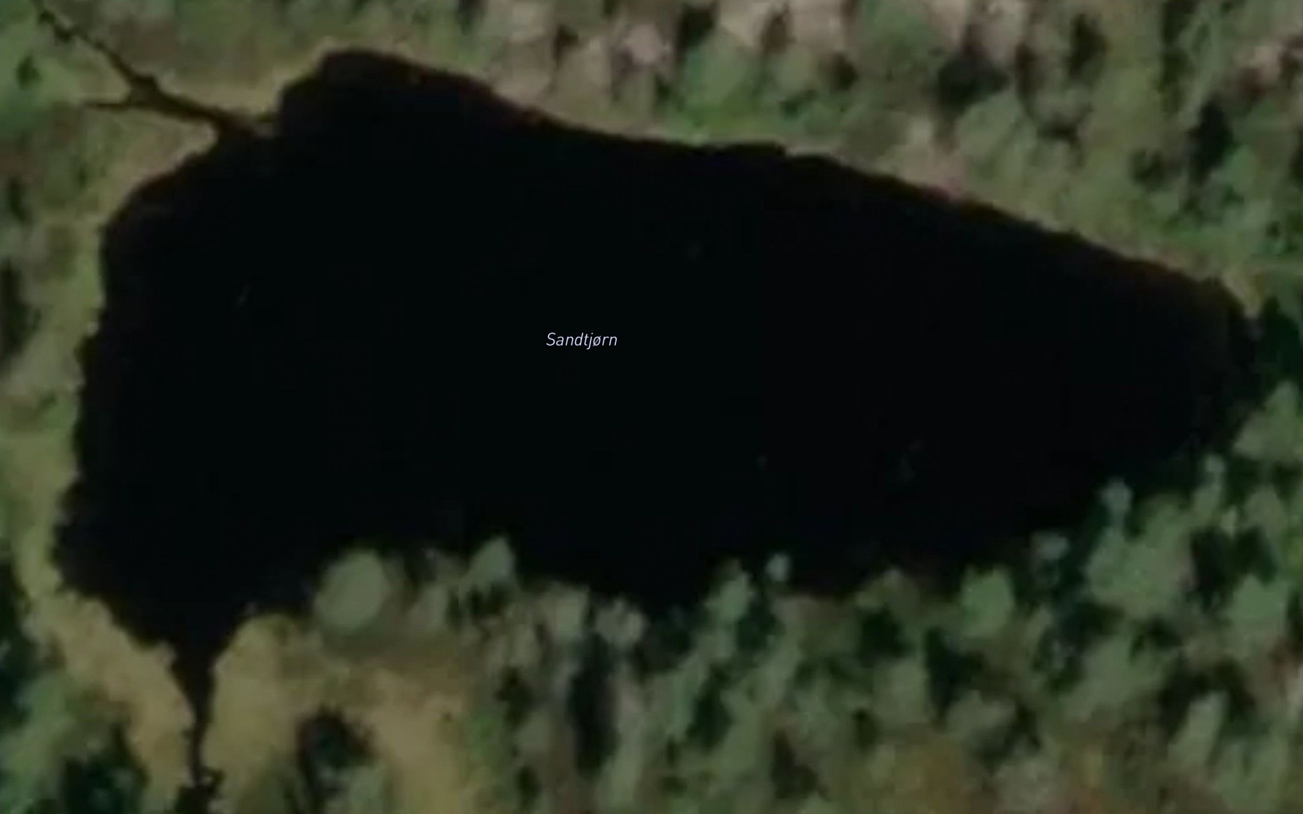 Sandtjorn