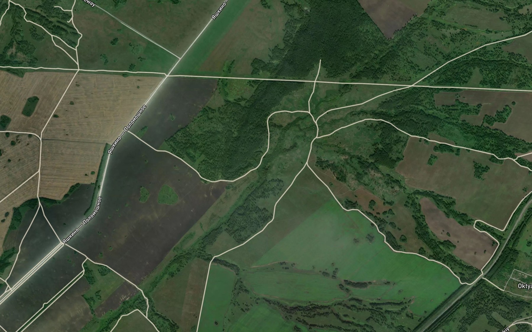 Satellite map of the Zabornaya
