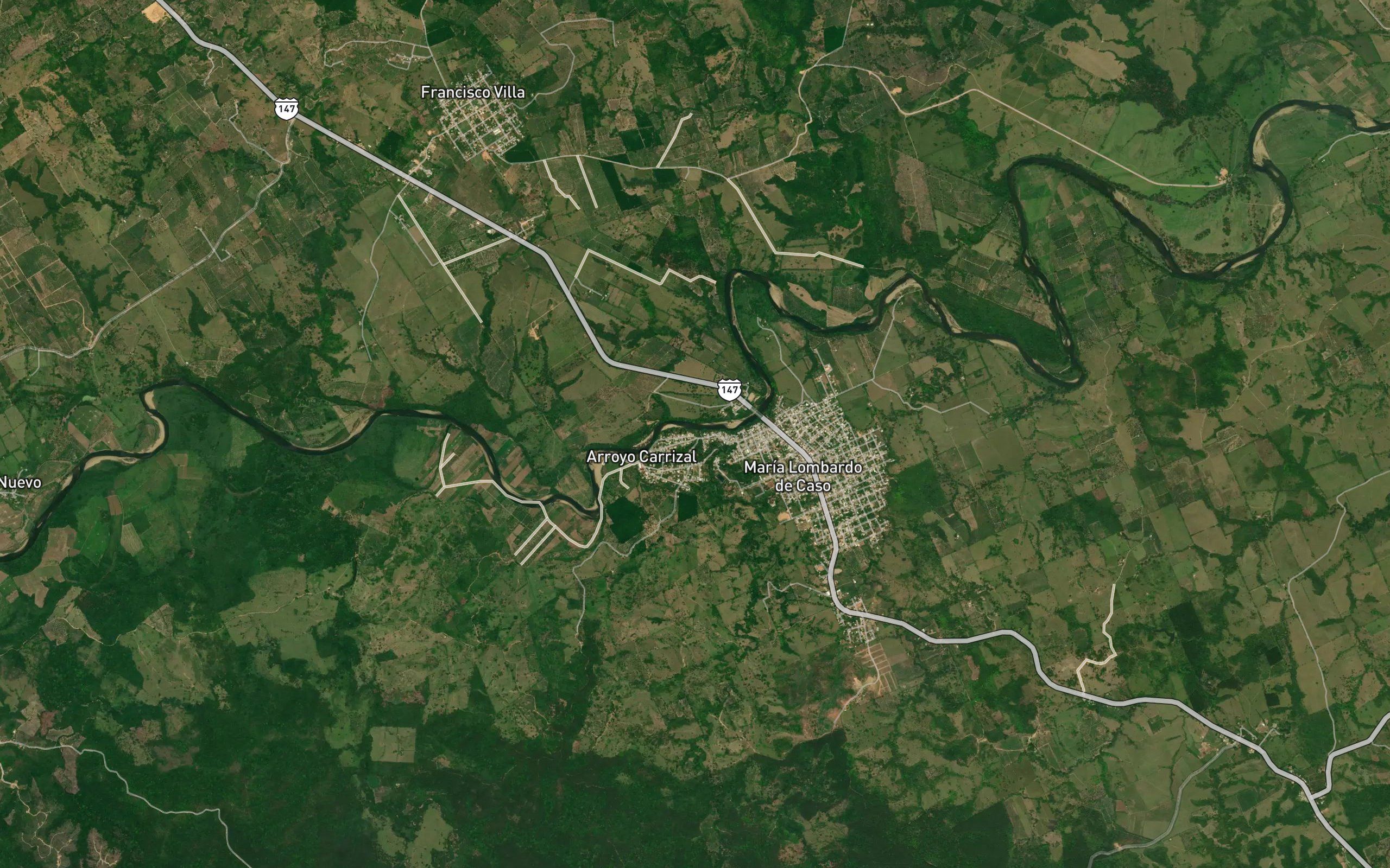 Carrizal