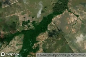 Morichal Agua Clarita