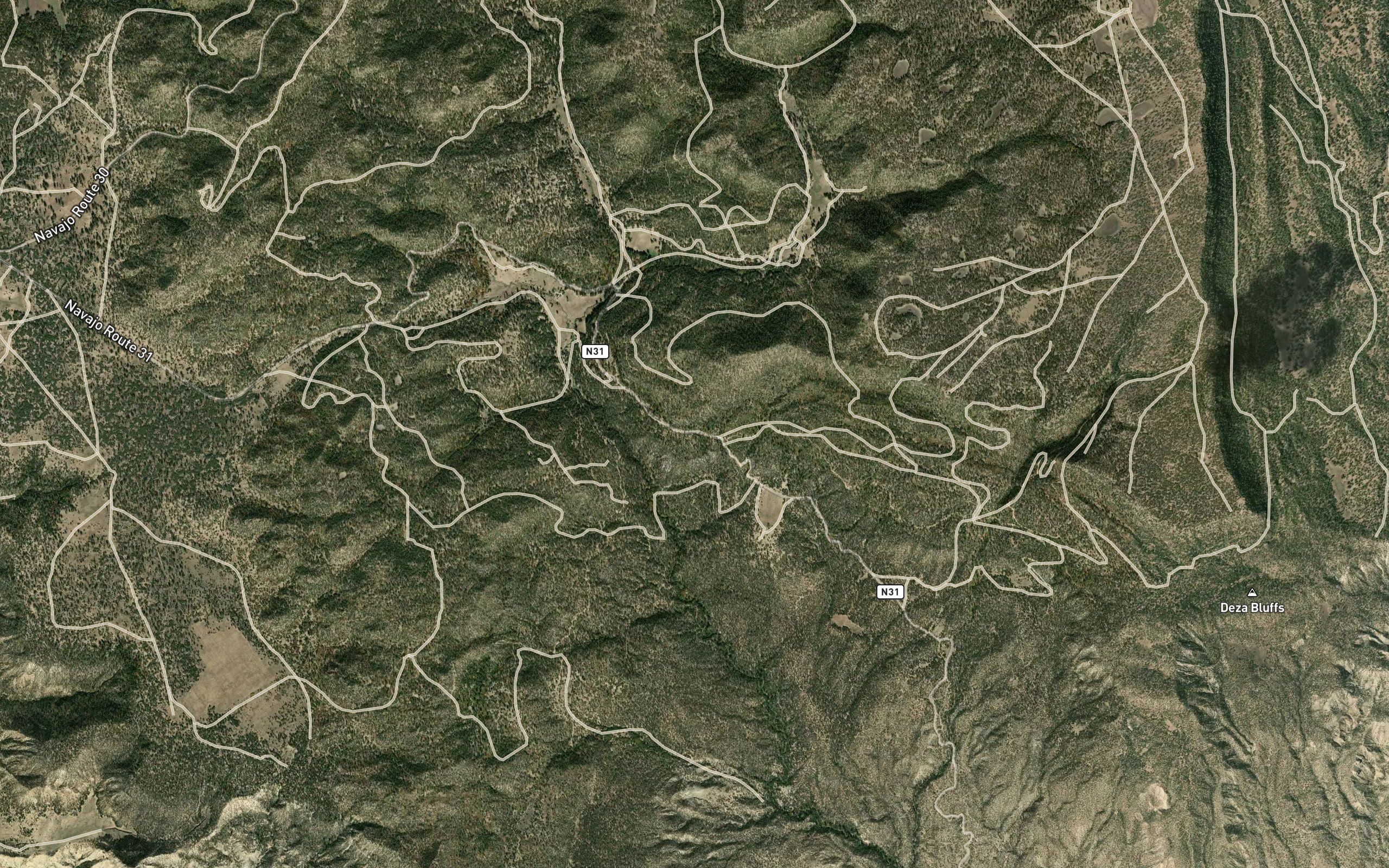 Pine Spring 14N-25