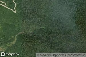 McGillicuddys Duck Pond