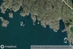 Gronevika