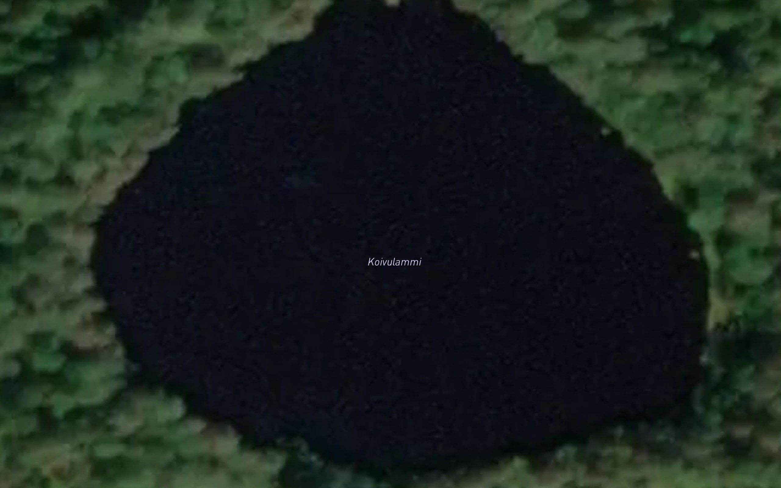 Koivulammi