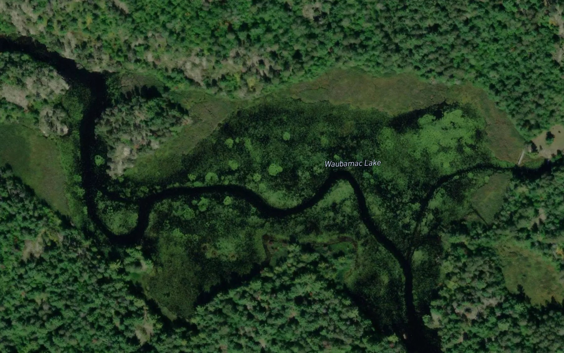 Satellite map of the Waubamac Lake