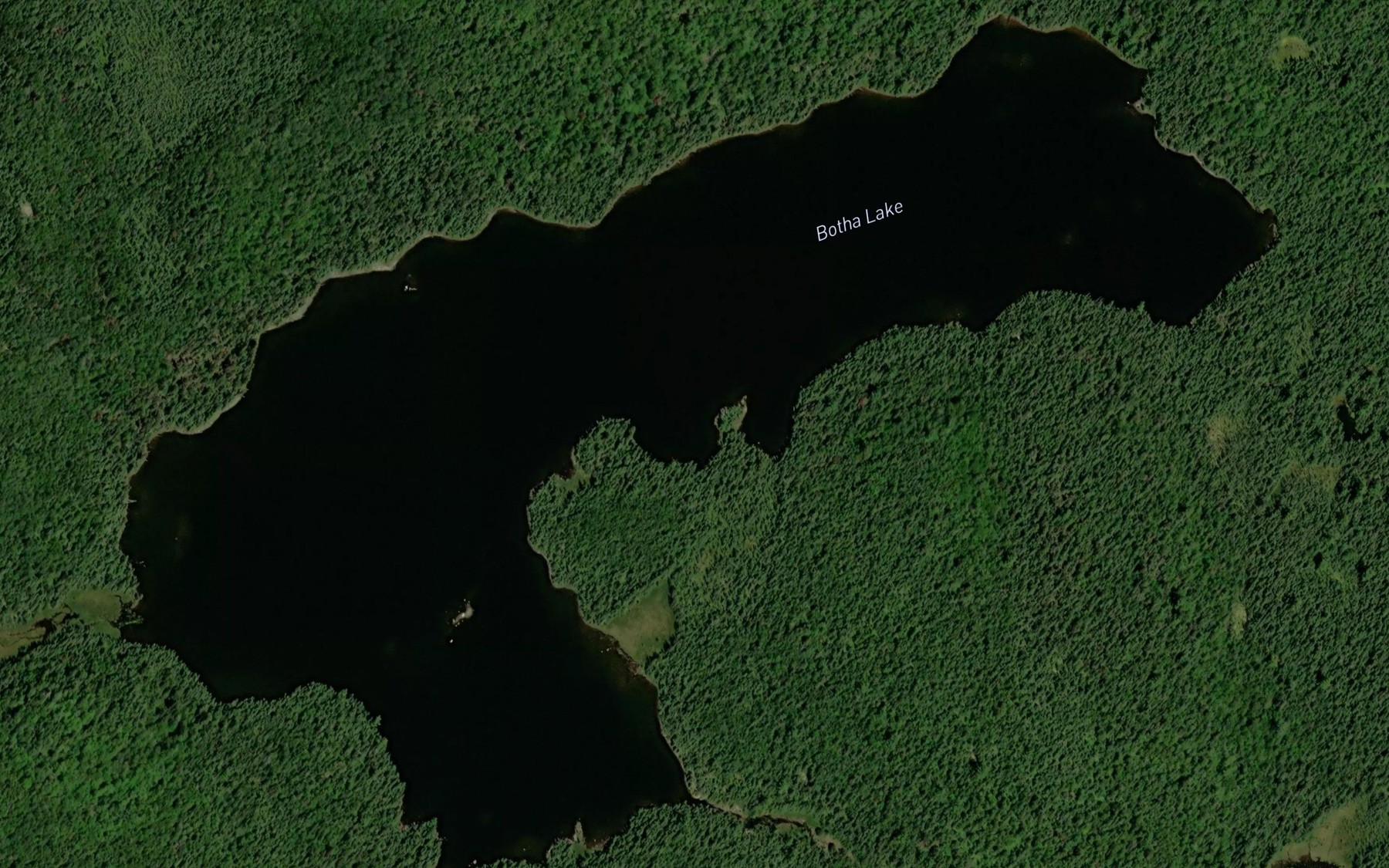 Satellite map of the Botha Lake
