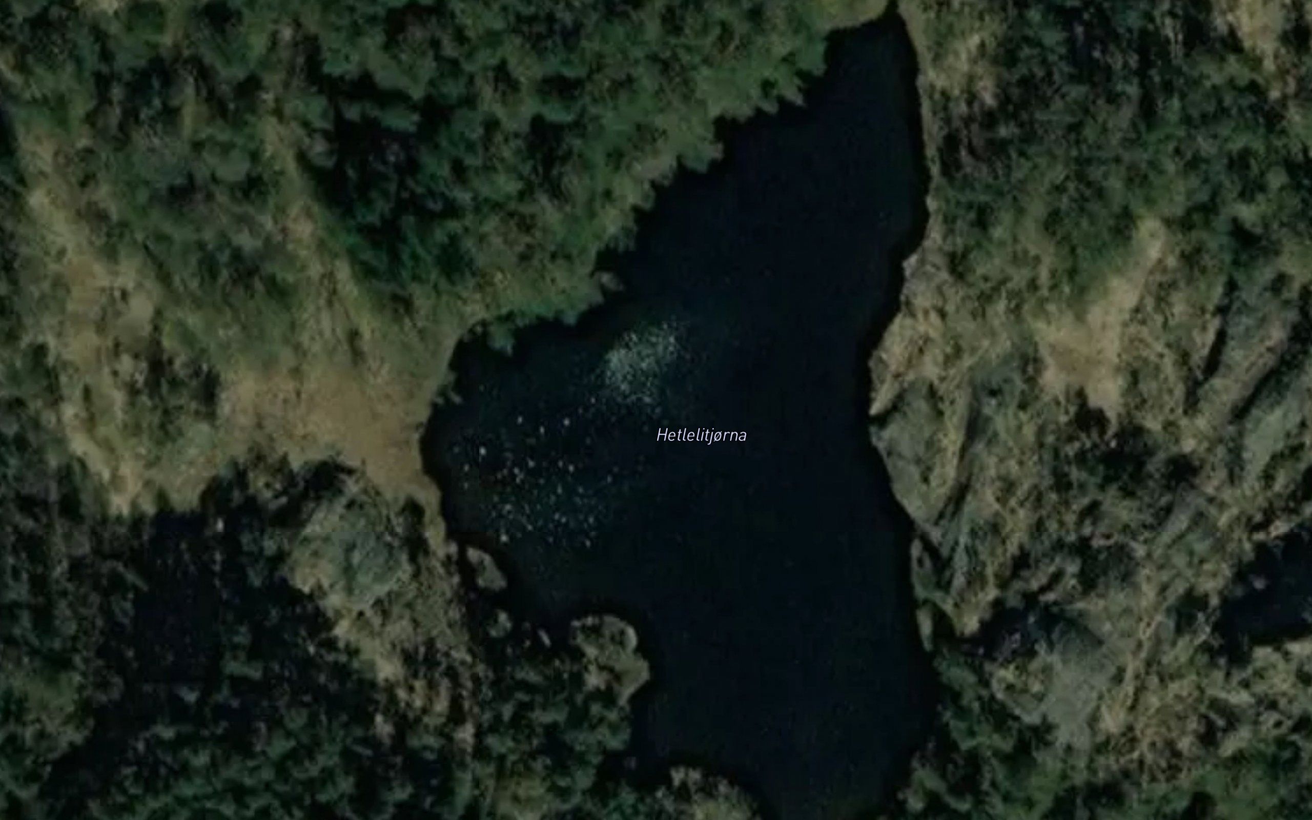 Hetlelitjorna