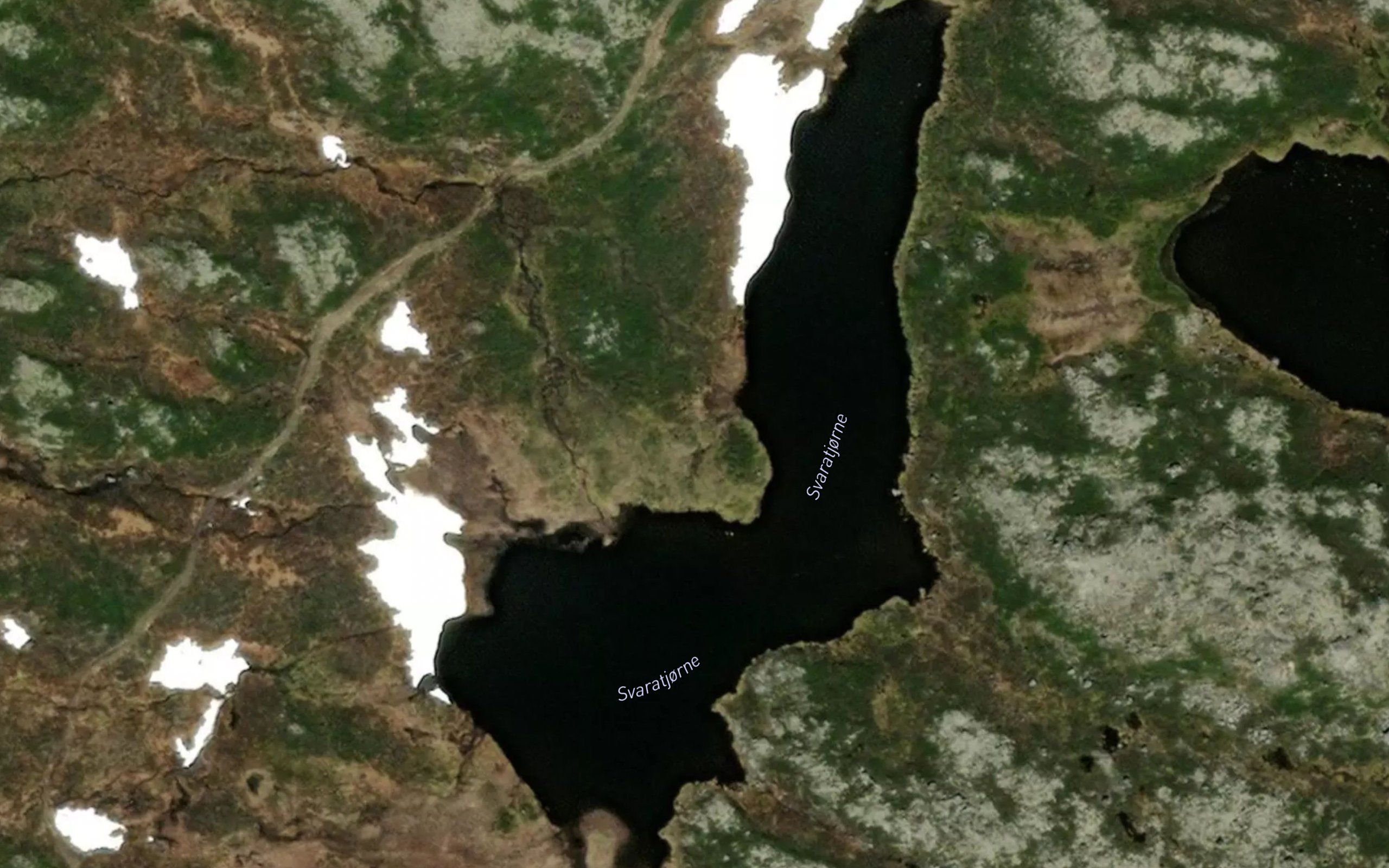 Svaratjorne