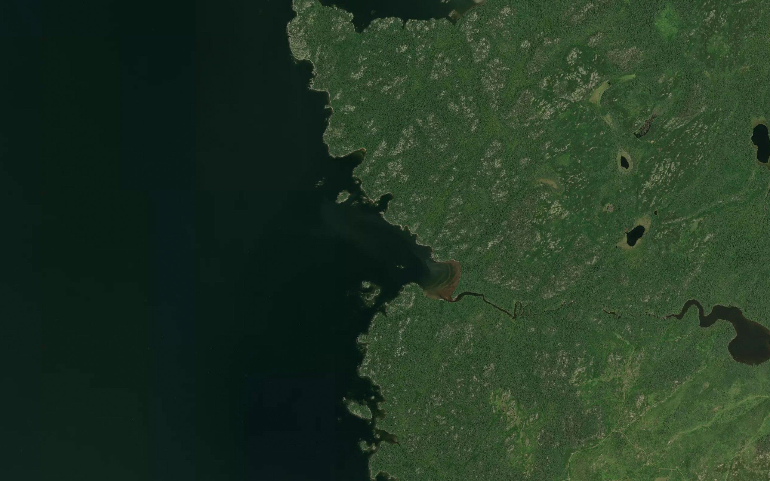 Vint Bay