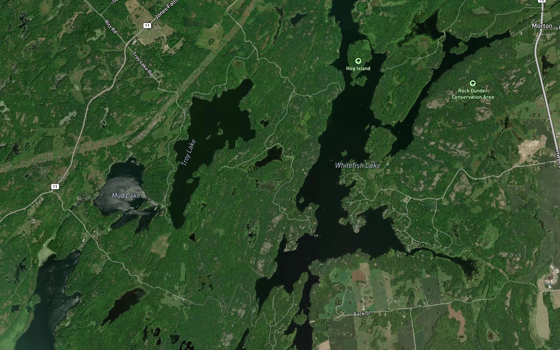 Satellite map of the Whites Bay