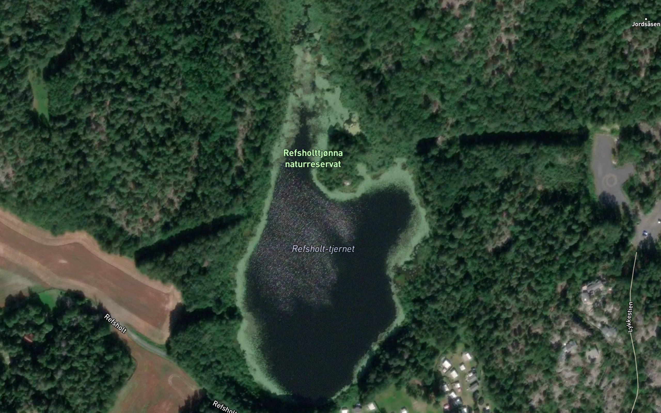 Refsholttjernet