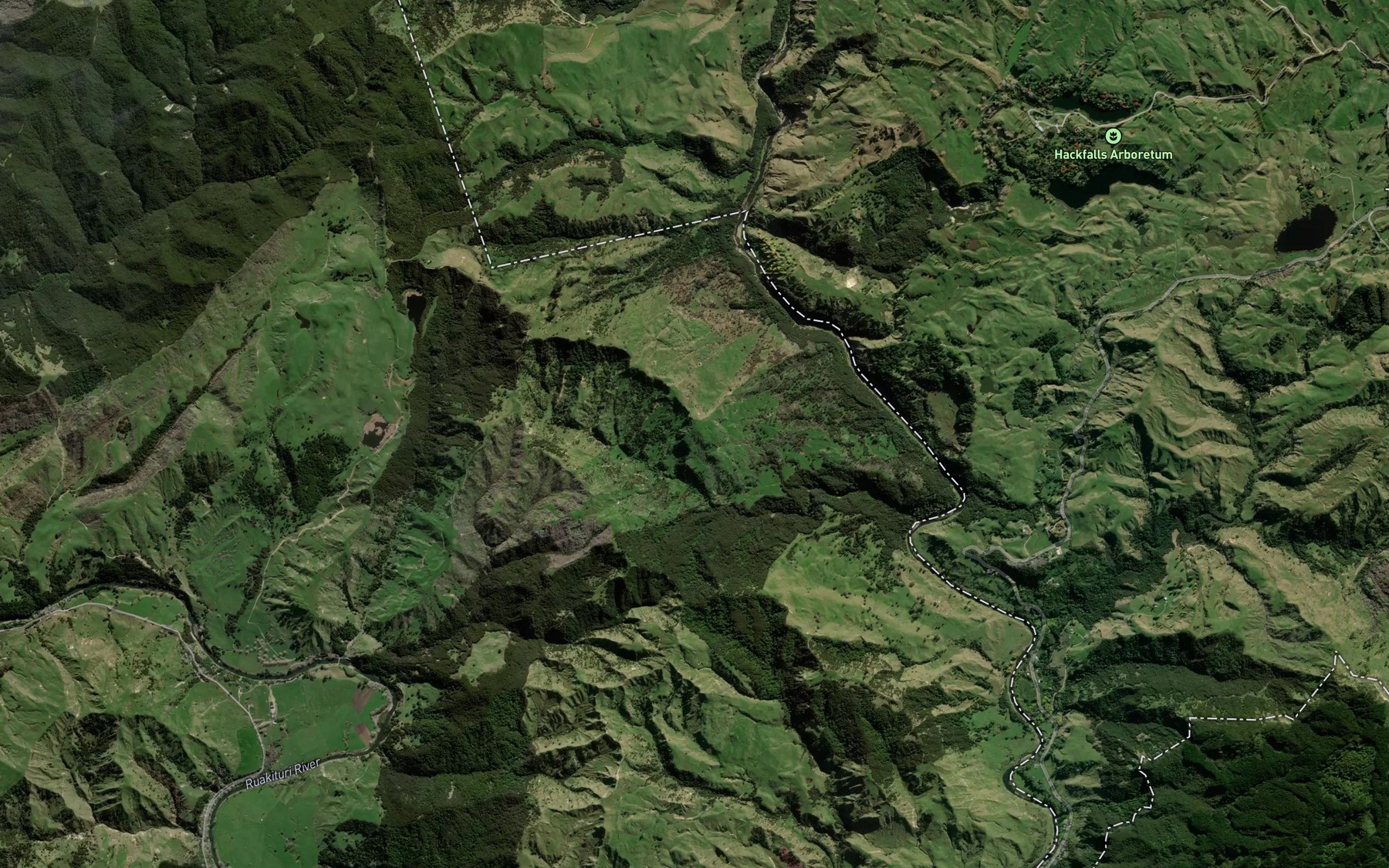 Satellite map of the Tumokonui Stream