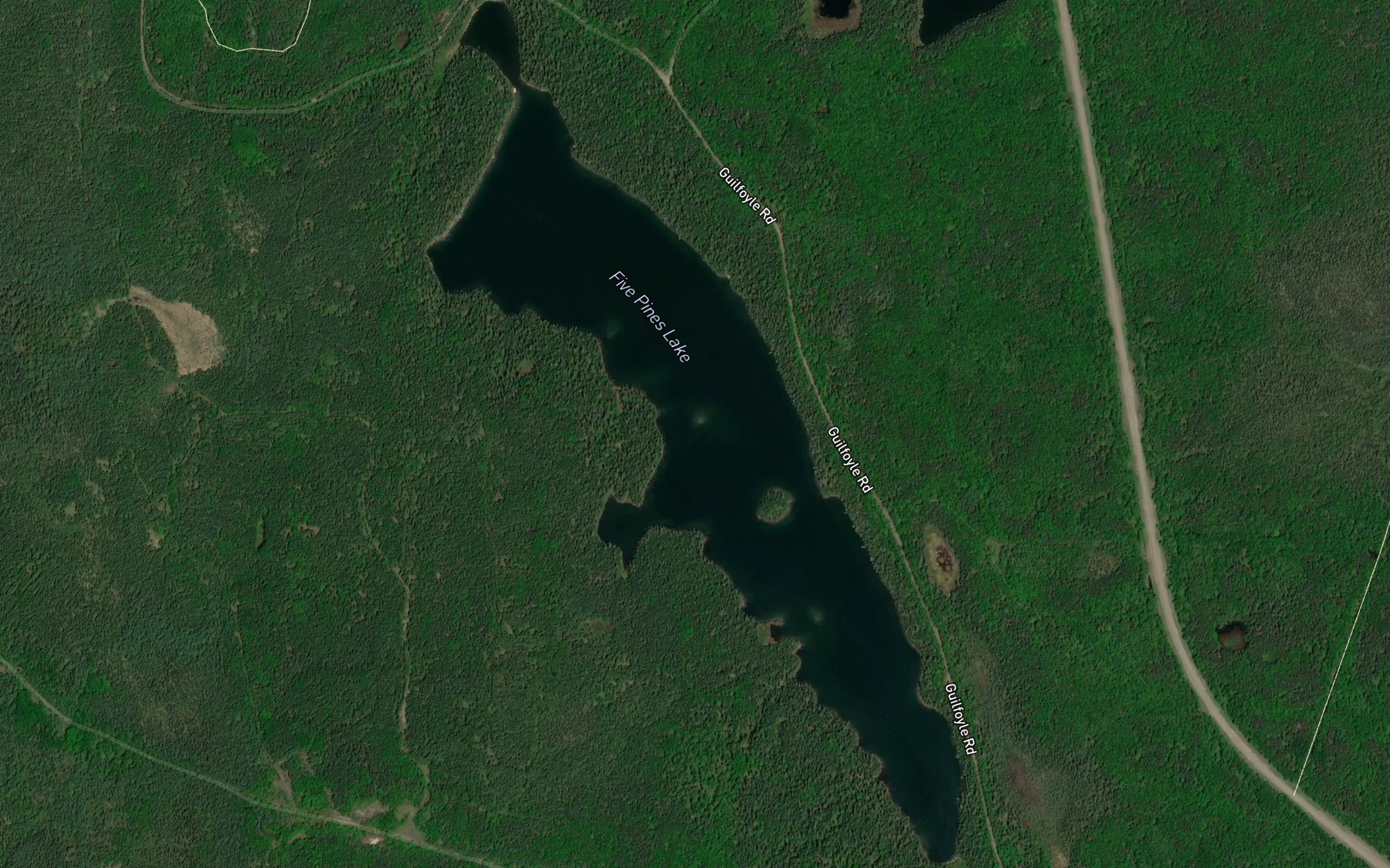 Satellite map of the Five Pines Lake