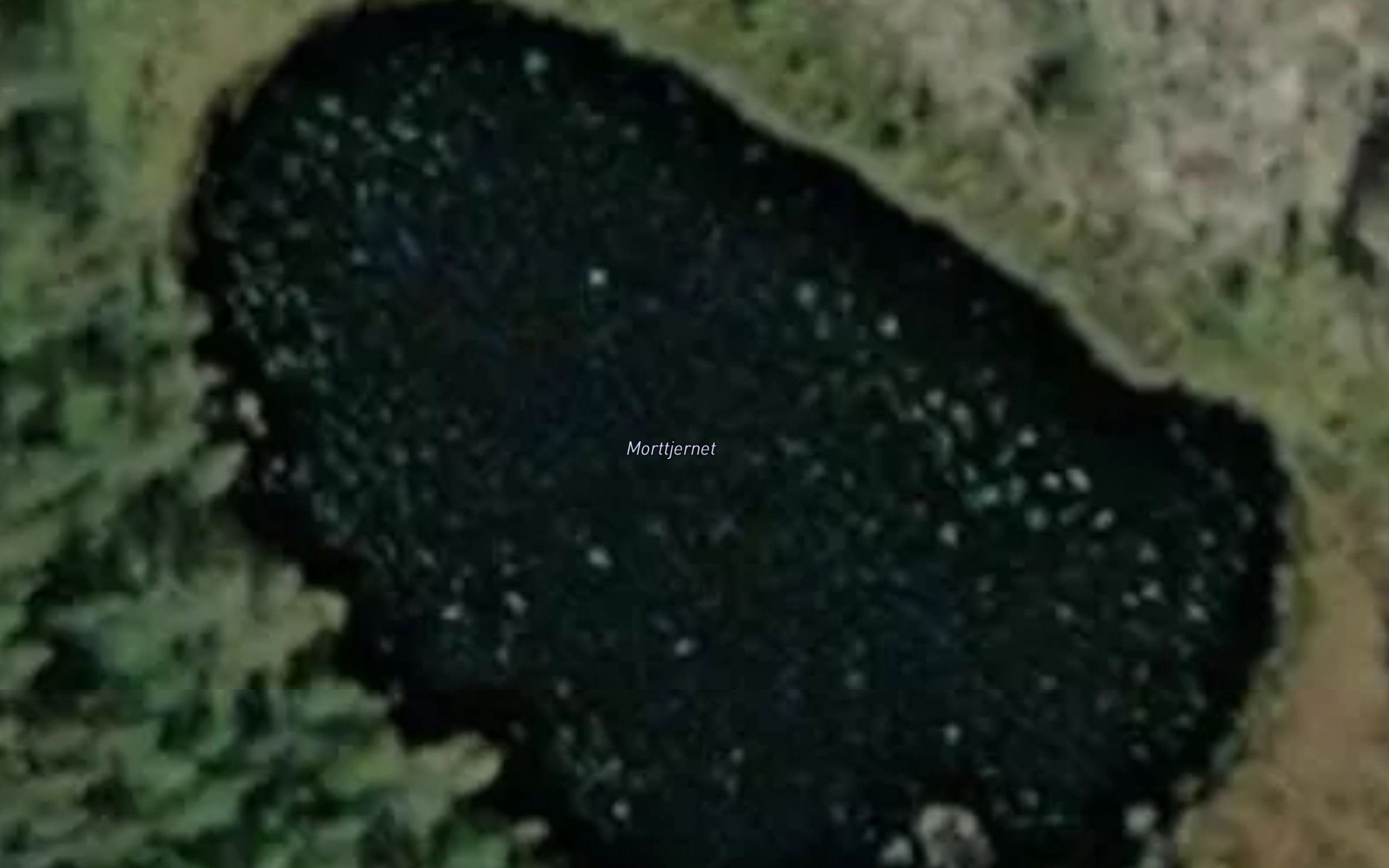 Morttjernet